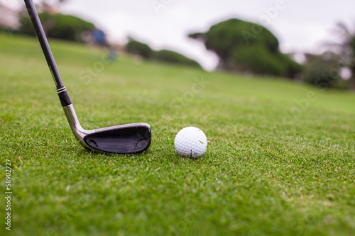 Golf stick and ball on green grass