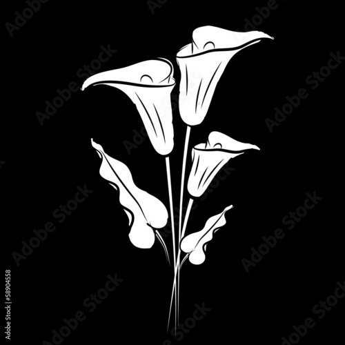 Calla lily black