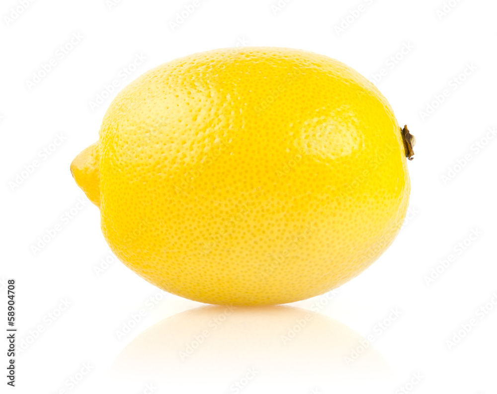 Lemon on White Background Lemon on White Background