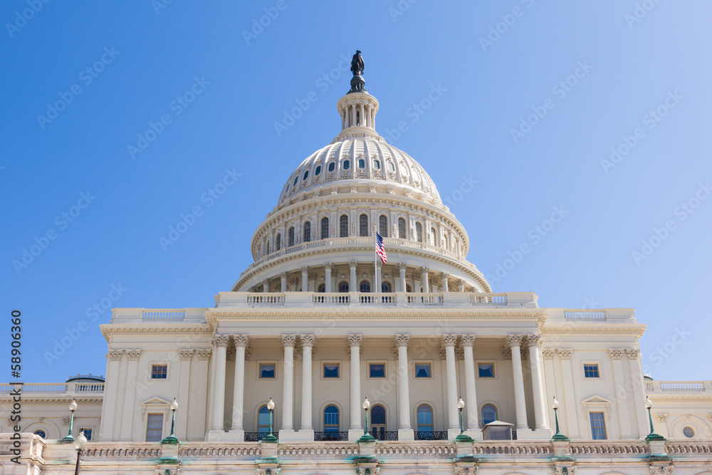 Fototapeta premium US Capitol Building in Washington DC