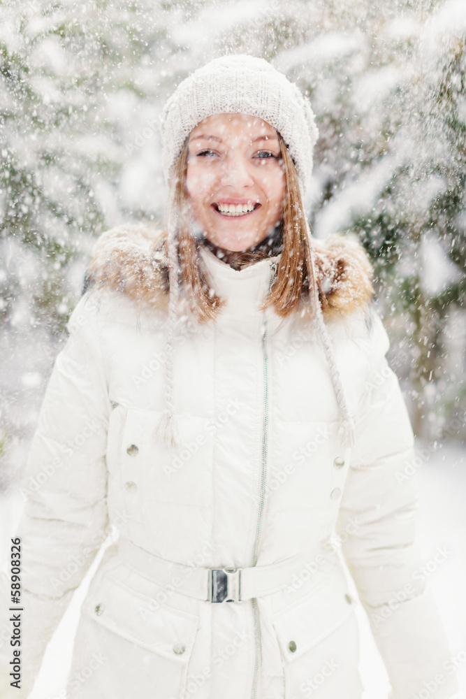 Snowfall Snowfall