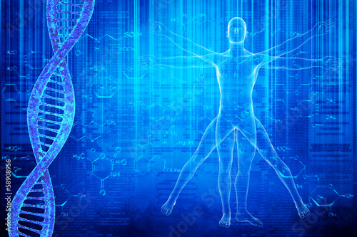 DNA molecules and virtuvian man