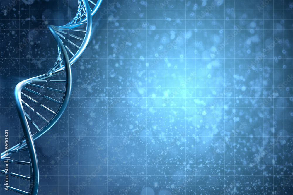 DNA molecules human DNA molecules human