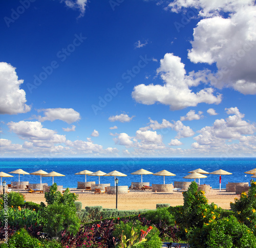 tropical beach and Red Sea