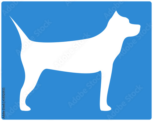 blue background with pit bull terrier image
