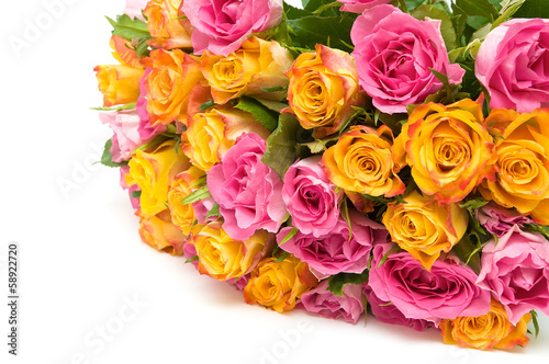 a large bouquet of roses on a white background