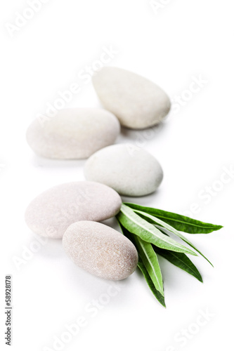 green leaf and stones