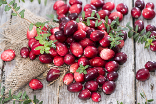 Portion of fresh Cranberries