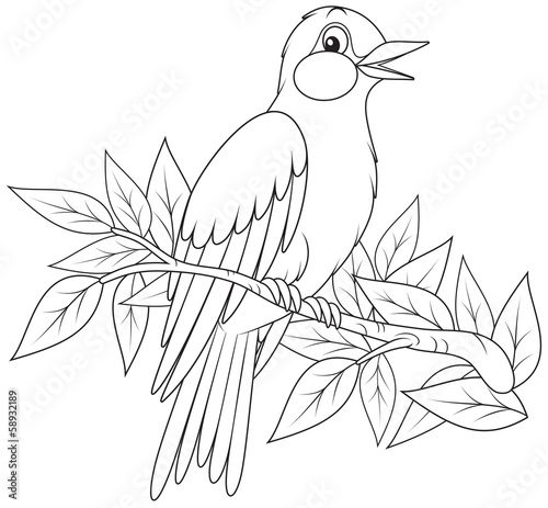Hangbird singing on a branch