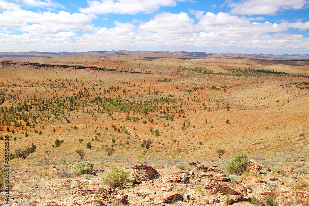 Naklejka premium Flinders Ranges National Park, Australia