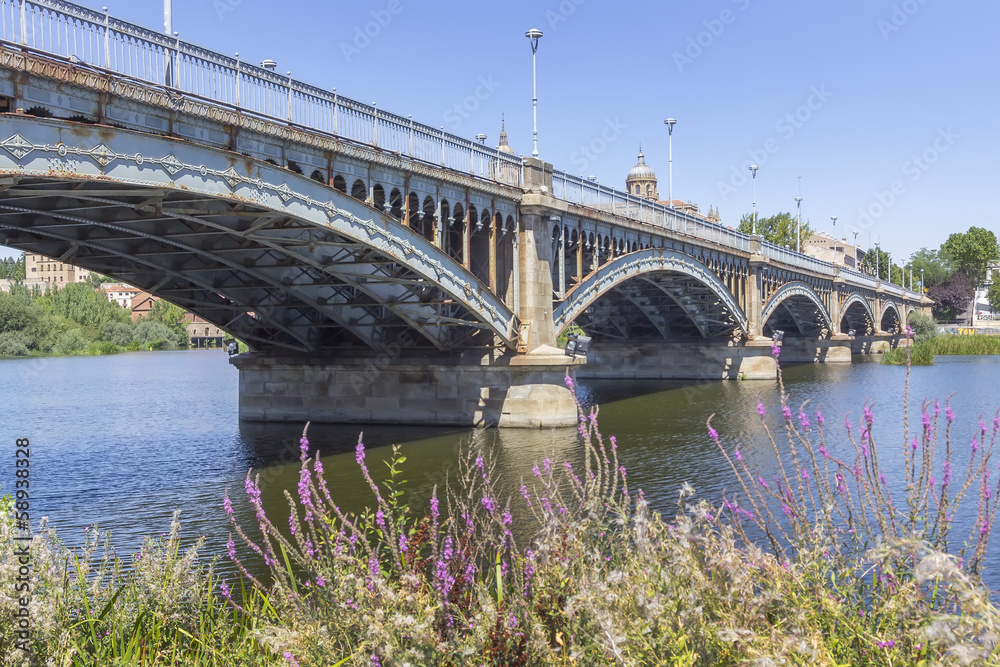 Fototapeta premium old very decorated iron bridge