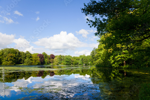 Schlossteich Machern photo