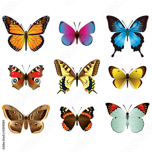 Butterflies photo-realistic vector set