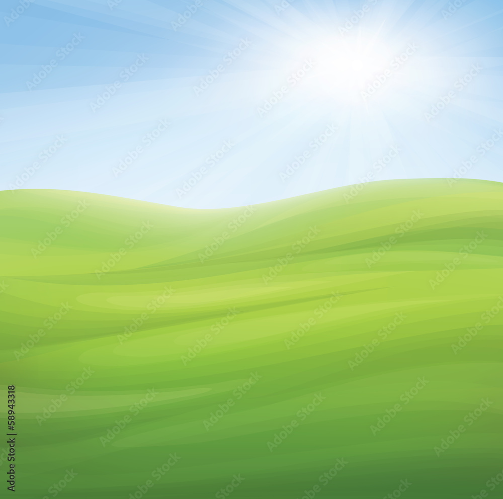 Vector spring background, blue sky and green grass. - obrazy, fototapety, plakaty 