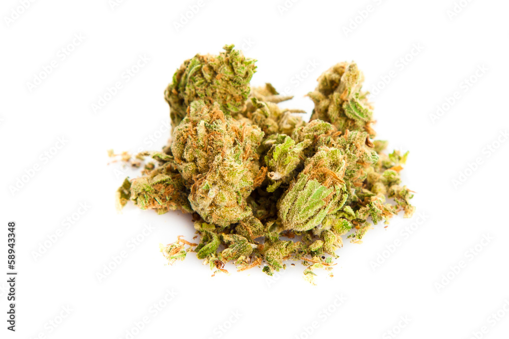  Marihuana  isolated on white background