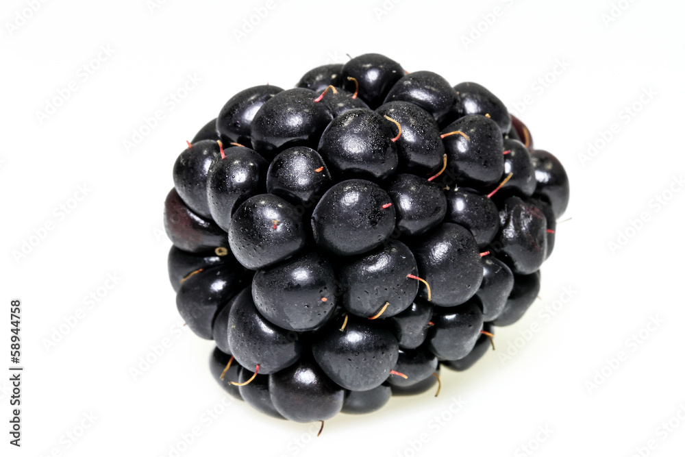 Brombeerernte Brombeerernte