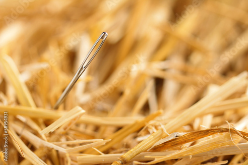 Valokuva needle in haystack