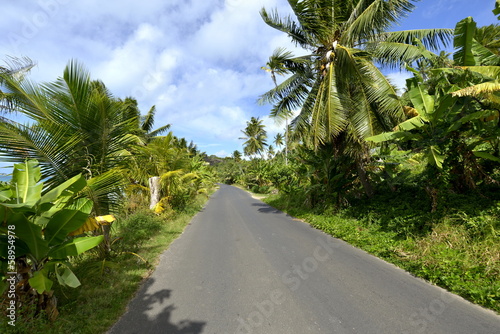 Tropical Road- Bora Bora