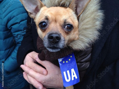 mass protests in Ukraine