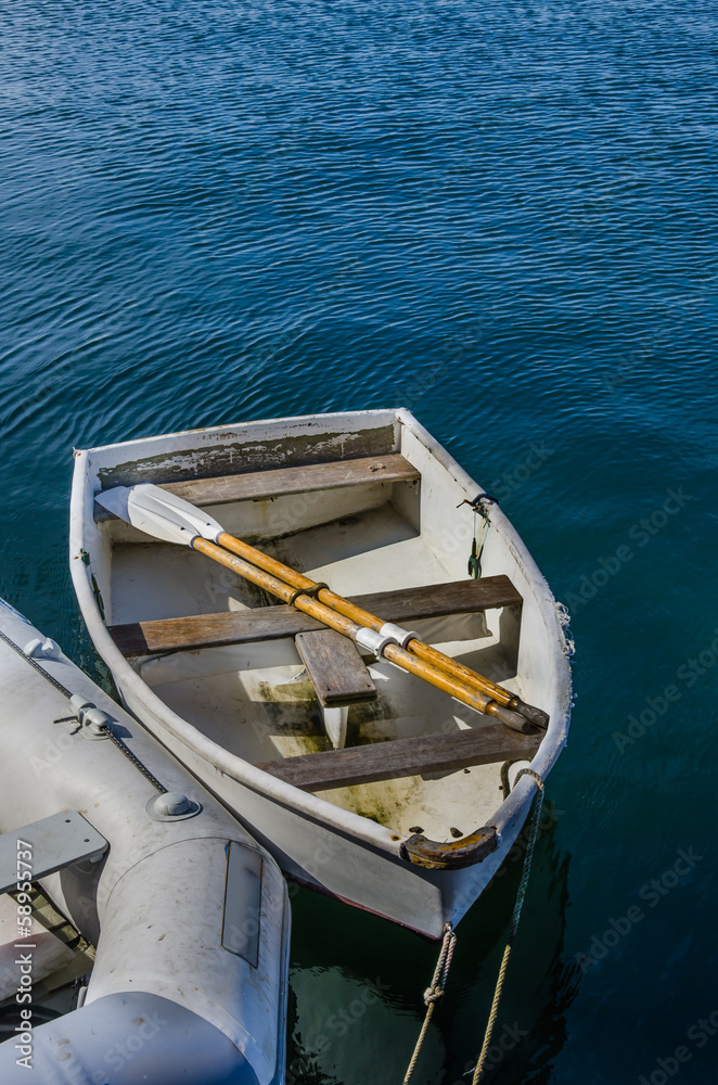 A Rowing Boat with a Pair of Oars