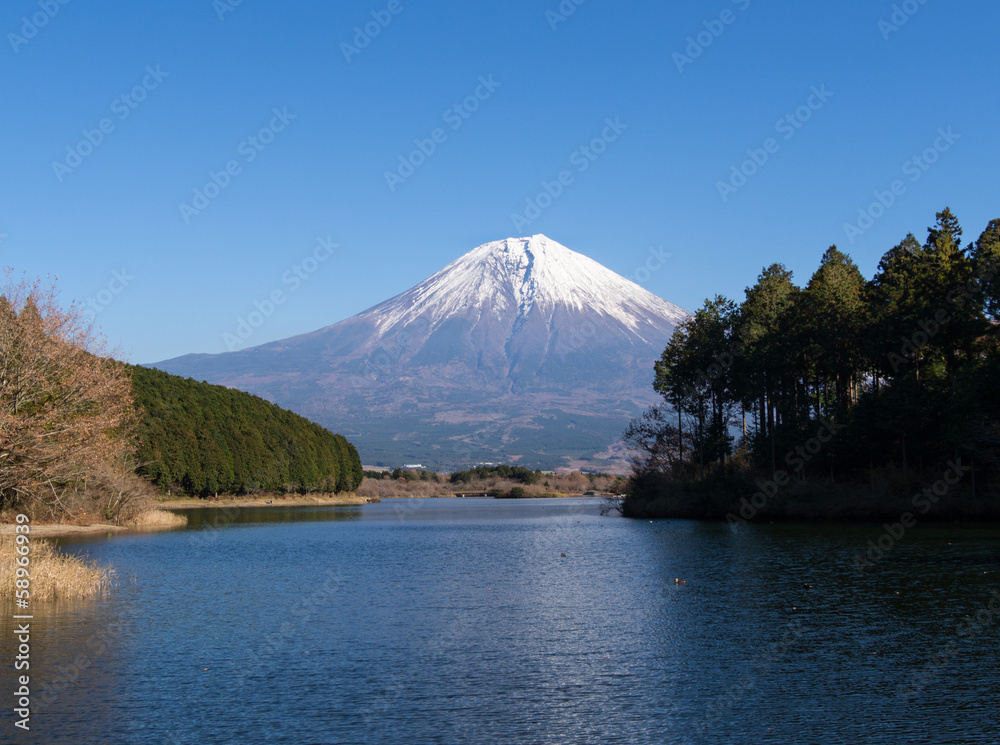冠雪の富士山と田貫湖
