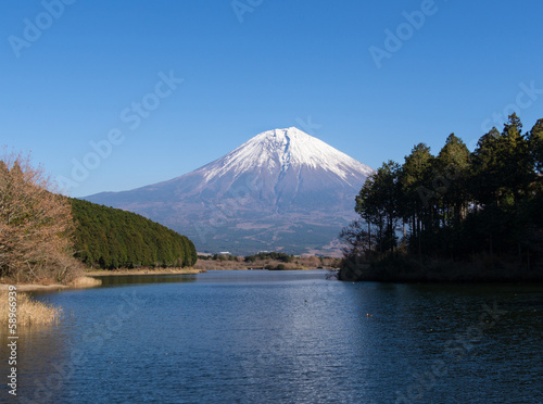 冠雪の富士山と田貫湖