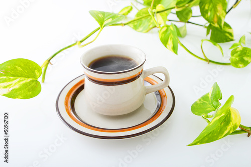 ホットコーヒーと植物