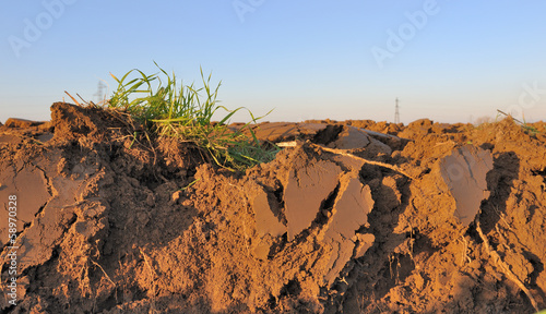 terre arable photo