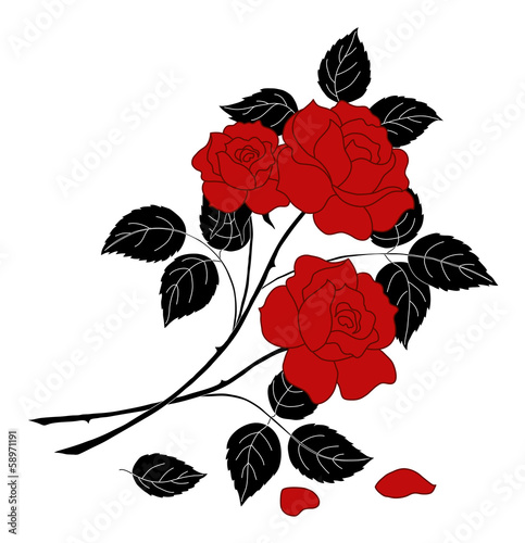 Flowers rose, silhouette