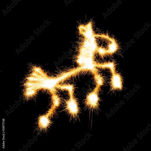 Horse made ​​a sparkler