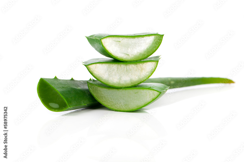 aloe vera fresh leaf. isolated over white aloe vera fresh leaf. isolated over white
