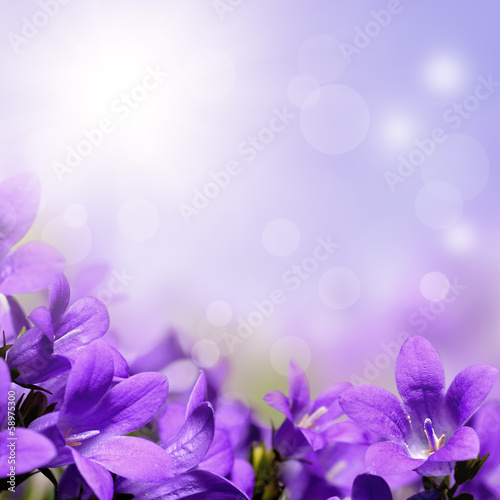 Abstract purple spring flowers background