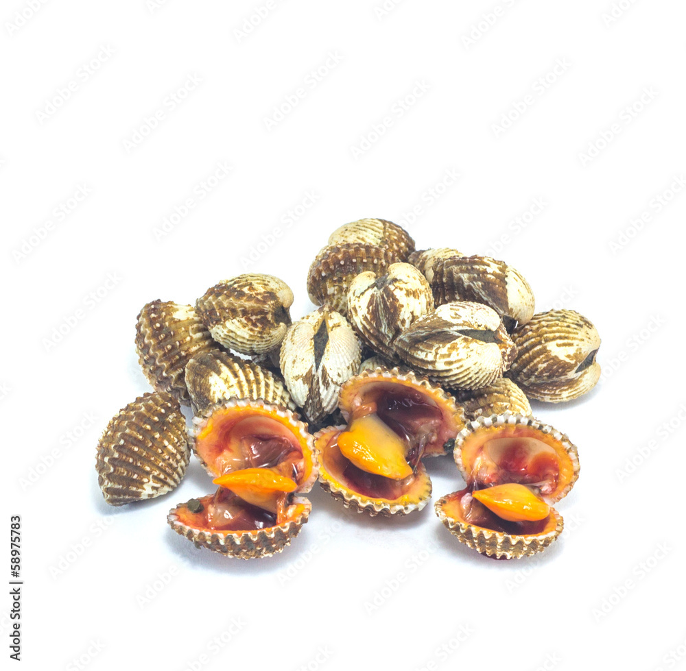 scallop isolation scallop isolation