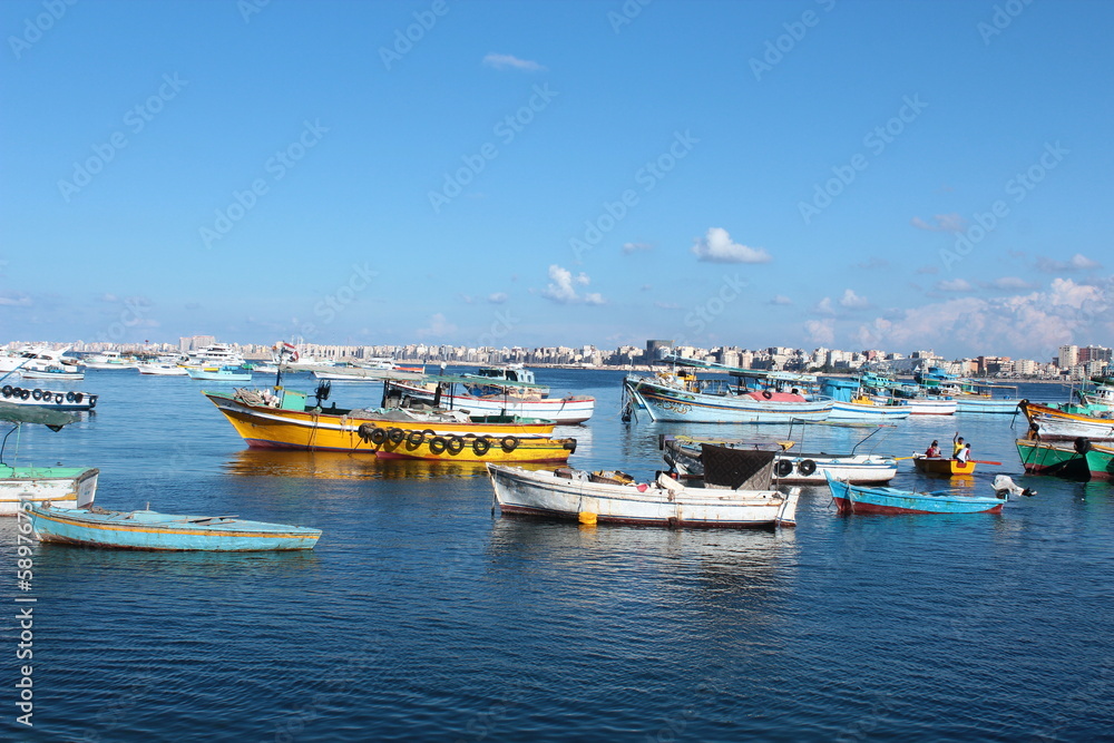 Seashore/ View of Seashore in Alexandria 