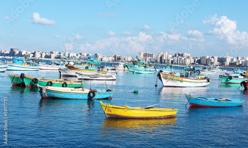 Seashore  View of Seashore in Alexandria 