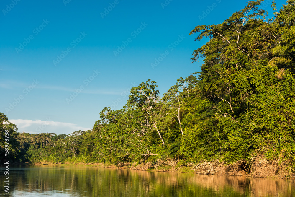 Fototapeta premium heath river peruvian Amazon jungle Madre de Dios Peru