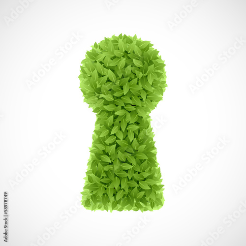 Green leaves keyhole