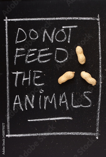 Fototapeta Naklejka Na Ścianę i Meble -  Do Not Feed The Animals Blackboard Sign