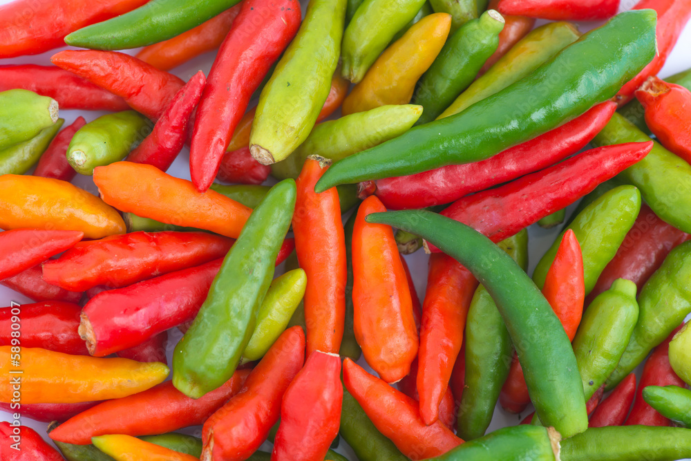 Colorful chili pepper full screen