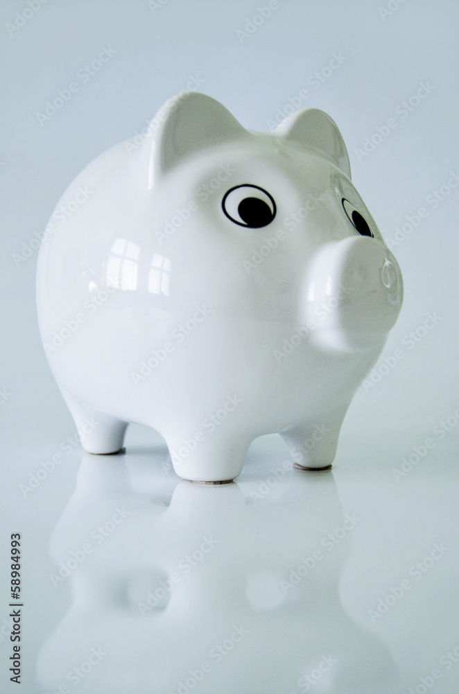 Schwein Sparschwein Geldschwein Münzschwein Schwein Sparschwein Geldschwein Münzschwein