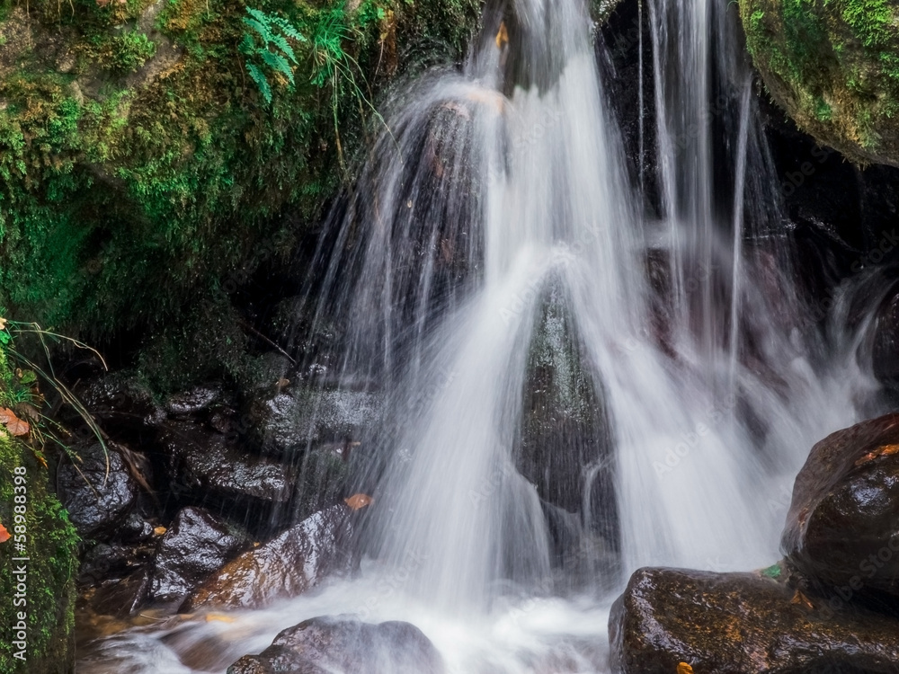 Fototapeta premium Bach mit fließendem Wasser