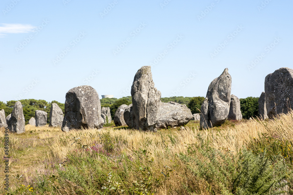 Allineamenti di Carnac - Francia