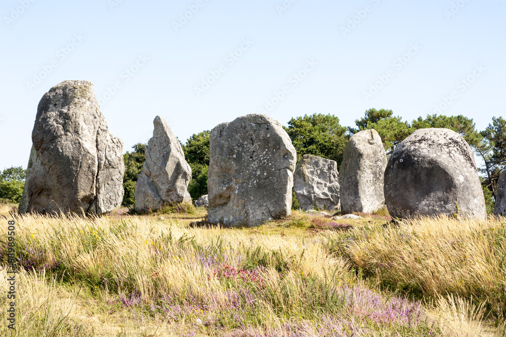 Allineamenti di Carnac - Francia