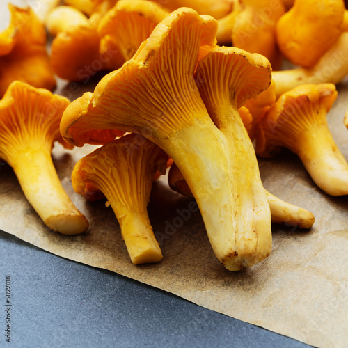 Chanterelle - Fresh chanterelle mushrooms on a table