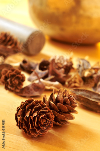pine cones and dried flowers, and a tibetan singing bowl © nito