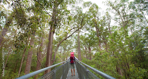 Valley of the Giants, Denmark, Australia photo