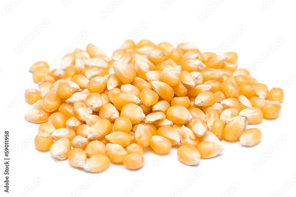Corn Seeds Pile Corn Seeds Pile
