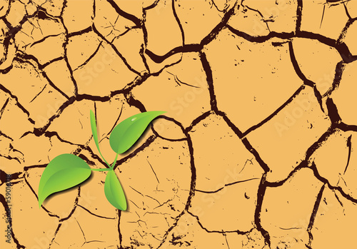 Plant sprouting in the desert