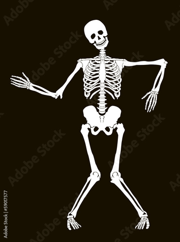 Funny vector skeleton isolated over black. Halloween design