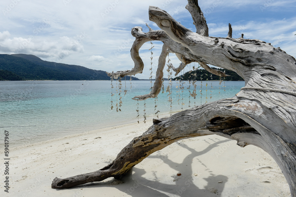 Fototapeta premium Beautiful beach with white dead trees